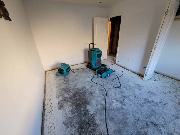 Nettleton, MS Water damage restoration Company