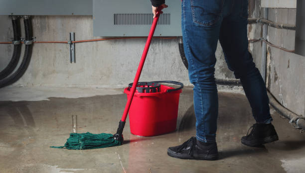 Best Water damage restoration near me  in Nettleton, MS