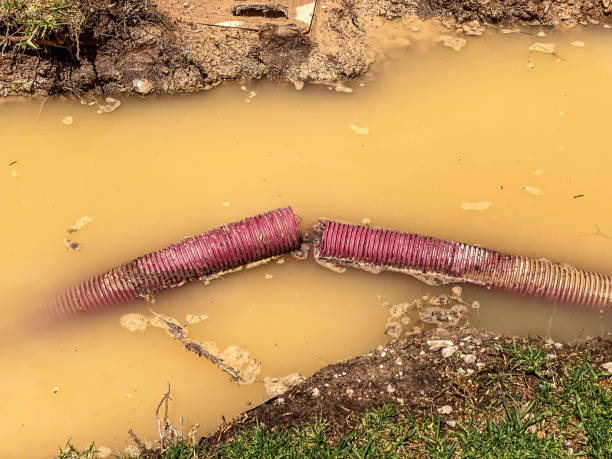 Best 24/7 water damage repair  in Nettleton, MS