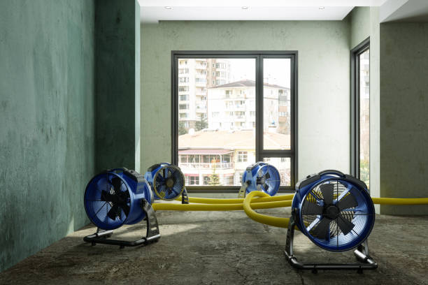 Best Water damage restoration insurance claims  in Nettleton, MS